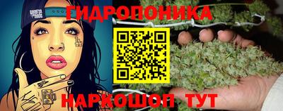 не бодяженный Гай