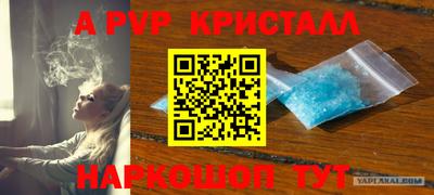 не бодяженный Гай