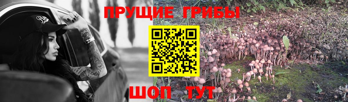 Псилоцибиновые грибы GOLDEN TEACHER  Острогожск  Псилоцибиновые грибы ЛСД 