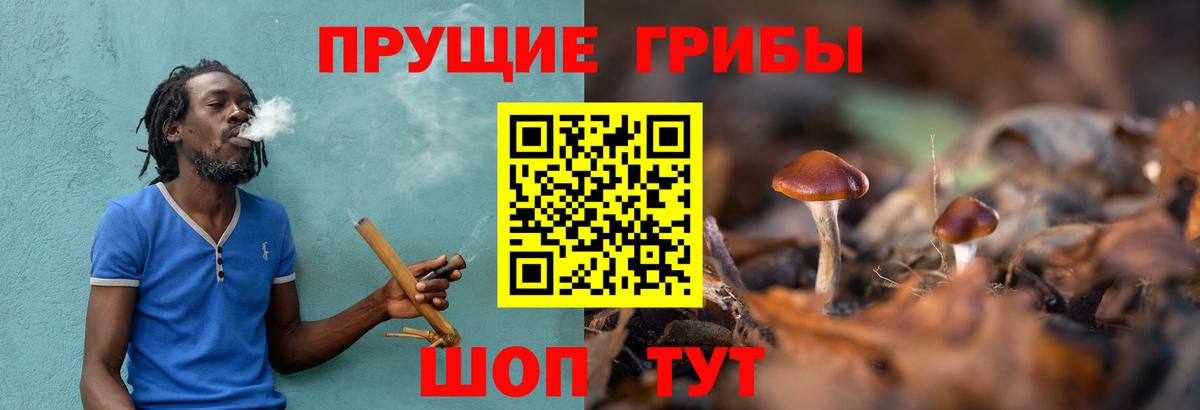 Острогожск  Псилоцибиновые грибы Cubensis  Галлюциногенные грибы Psilocybe  где продают наркотики  Вход с VPN 